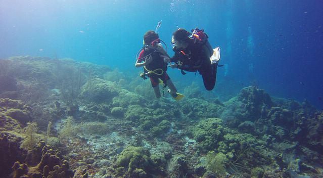 Ocean Encounters Curacao - Dive Center in Netherlands Antilles
