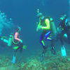 Picture taken during the dive