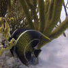 Picture taken during the dive