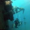 Picture taken during the dive