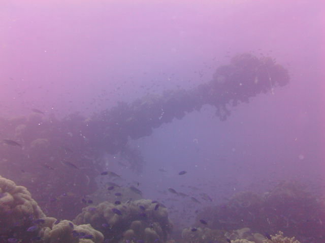 SS Thorfinn - Liveaboard in Micronesia