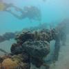 Picture taken during the dive