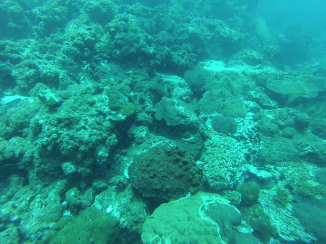 Reefers Dive Resort - Dive Center