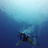 Picture taken during the dive