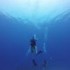 Picture taken during the dive
