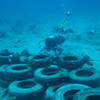 Picture taken during the dive