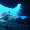 Picture taken during the dive