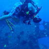 Picture taken during the dive