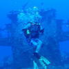 Picture taken during the dive