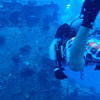 Picture taken during the dive