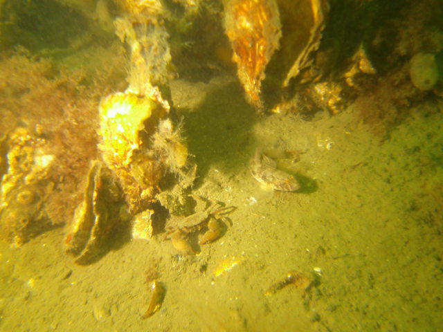 AquaDiveShop - Dive Center in Belgium