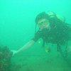 Picture taken during the dive