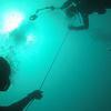 Picture taken during the dive