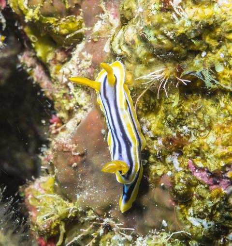 UCPA-Hurghada - Dive Center in Egypt