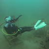 Picture taken during the dive