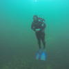 Picture taken during the dive