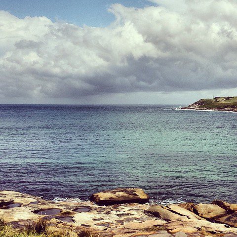 Pro Dive Coogee - Dive Center in Australia