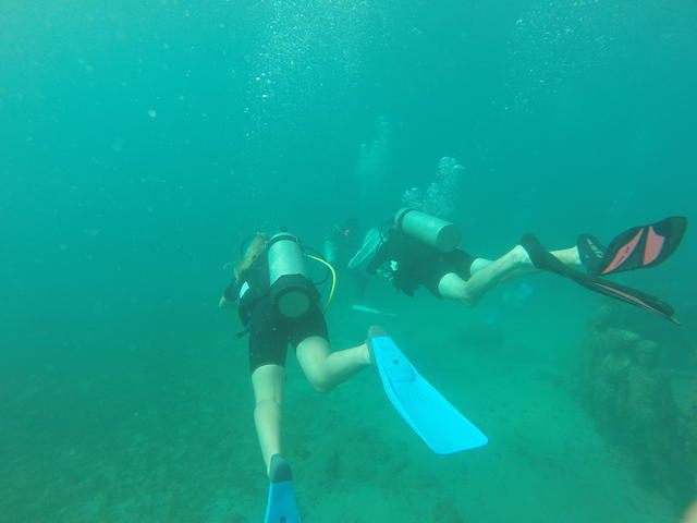 Eco Dive - Dive Center in Grenada