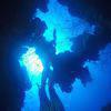 Picture taken during the dive