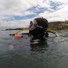 Picture taken during the dive