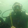 Picture taken during the dive