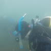 Picture taken during the dive