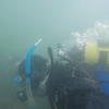 Picture taken during the dive
