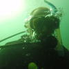 Picture taken during the dive