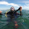 Picture taken during the dive