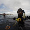 Picture taken during the dive
