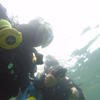 Picture taken during the dive