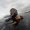 Picture taken during the dive