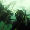 Picture taken during the dive