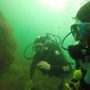 Picture taken during the dive