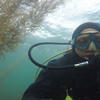 Picture taken during the dive