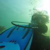 Picture taken during the dive