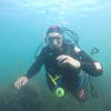 Picture taken during the dive