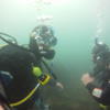 Picture taken during the dive