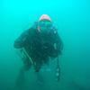 Picture taken during the dive