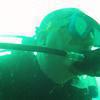 Picture taken during the dive