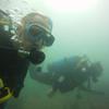 Picture taken during the dive