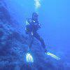 Picture taken during the dive