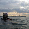 Picture taken during the dive