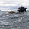 Picture taken during the dive
