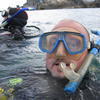 Picture taken during the dive