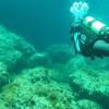 Picture taken during the dive
