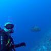 Picture taken during the dive