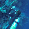 Picture taken during the dive