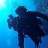 Picture taken during the dive