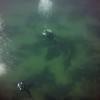 Picture taken during the dive